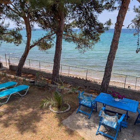 Pine Beach House Skála Kallirákhis Eksteriør bilde