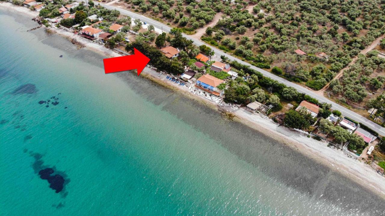 Pine Beach House Skála Kallirákhis Eksteriør bilde