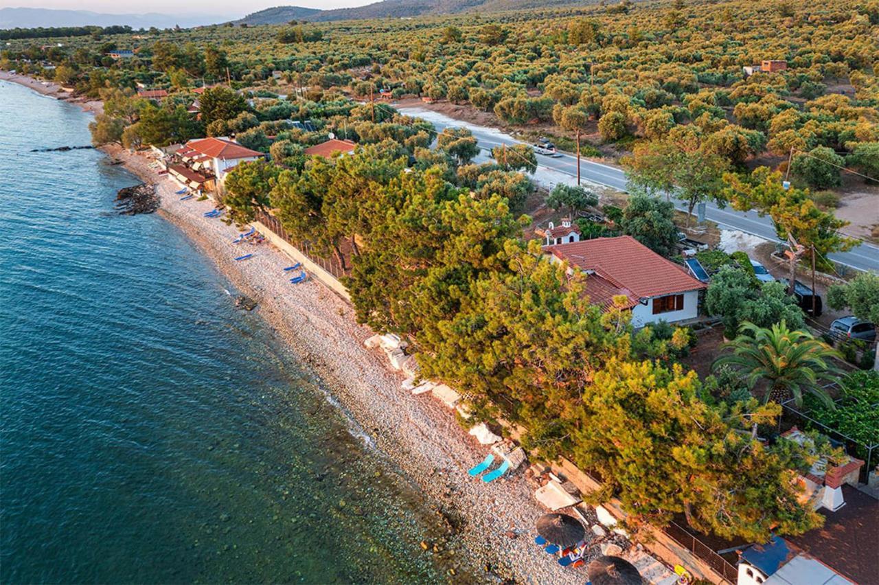 Pine Beach House Skála Kallirákhis Eksteriør bilde